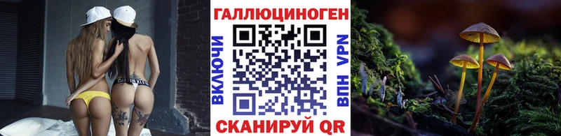 купить  сайты  Урус-Мартан  Псилоцибиновые грибы Cubensis 