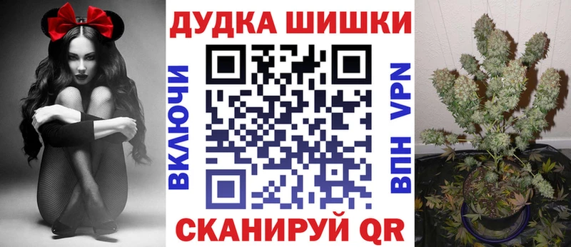 закладка  Урус-Мартан  Бошки Шишки план 